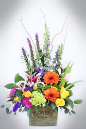 Port Charlotte Florist | Punta Gorda, Englewood, North Port Flower Delivery