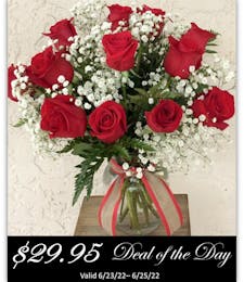 Deal of the Day: Dozen Standard Roses