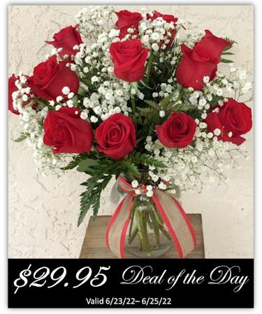 Deal of the Day: Dozen Standard Roses
