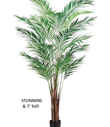 Areca Palm Tree (Silk)