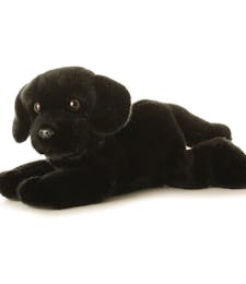 Flopsie Black Labrador