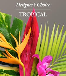 Designer's Choice- Tropical Arrangement