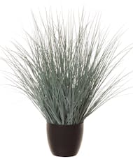 Grey Grass Plant (Silk)