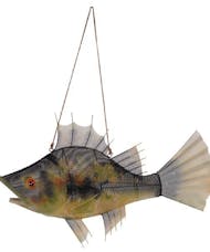 Talapia Metal Fish