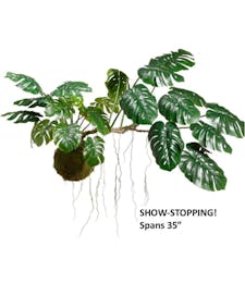 Hanging Monstera Plant (Silk)
