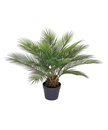 Palm Plant (Silk)