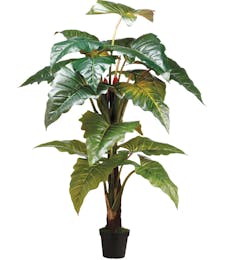 Philodendron Red Prince Plant (Silk)