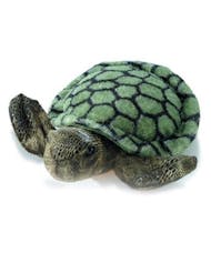 Flopsie Plush - Sea Turtle