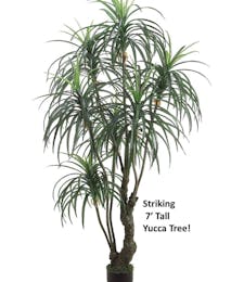 Yucca Tree (Silk)
