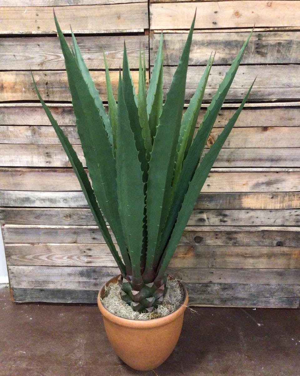 Agave Plant (Silk) Artificial Plants for Home or Office Port